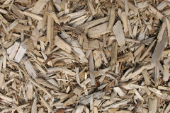 biomass boilers Craigenhouses